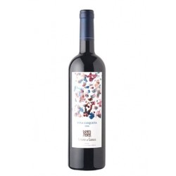 Viña Coqueta Reserva 2008