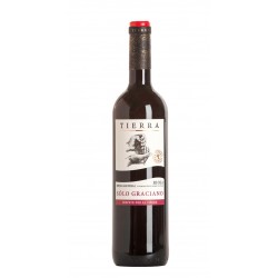 Tierra Solo Graciano